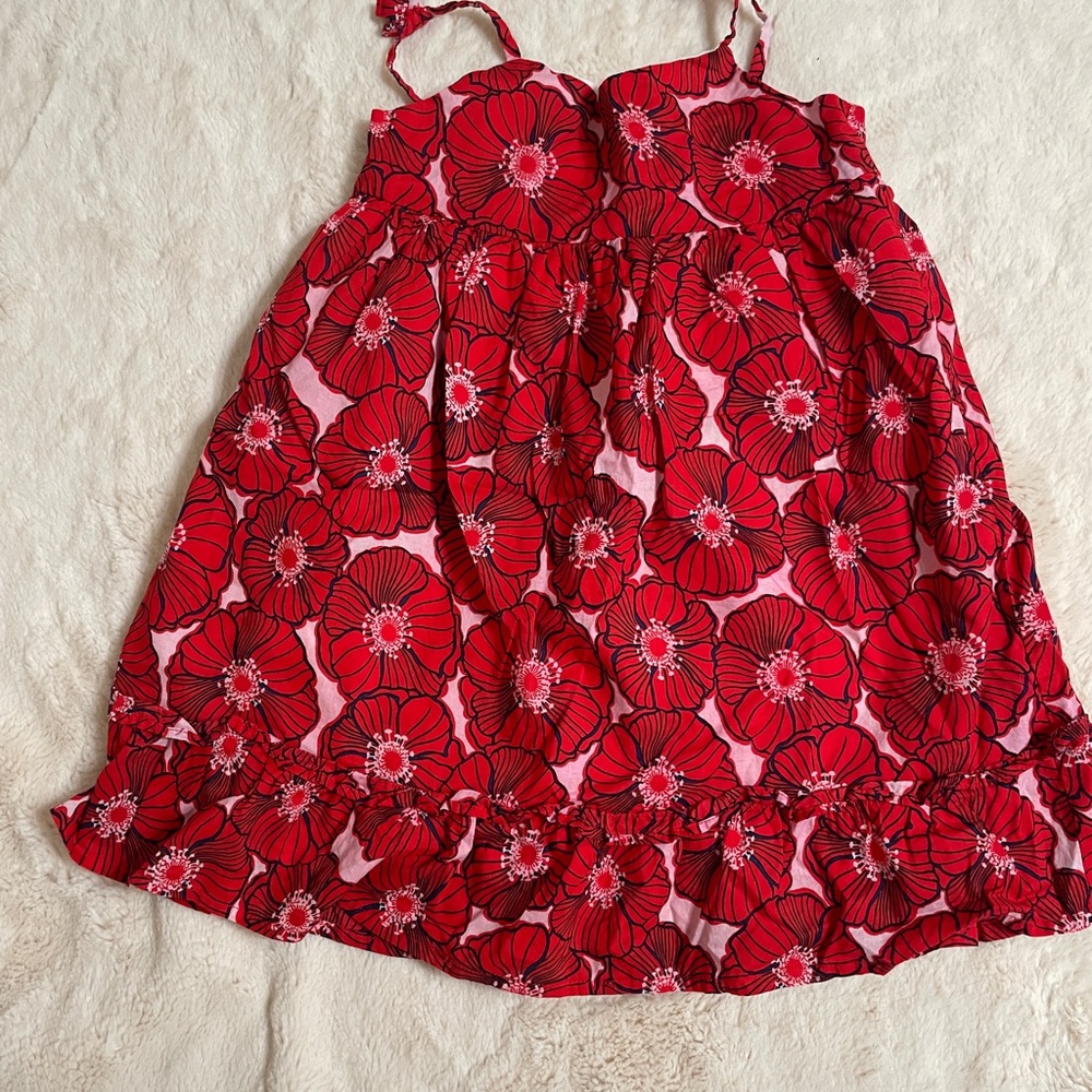 Janie and Jack Red Floral Dress with Pink Accents